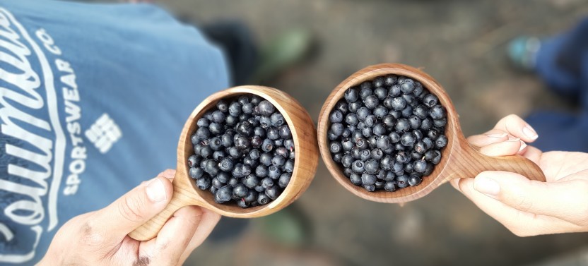 Berry Picking in a National Park