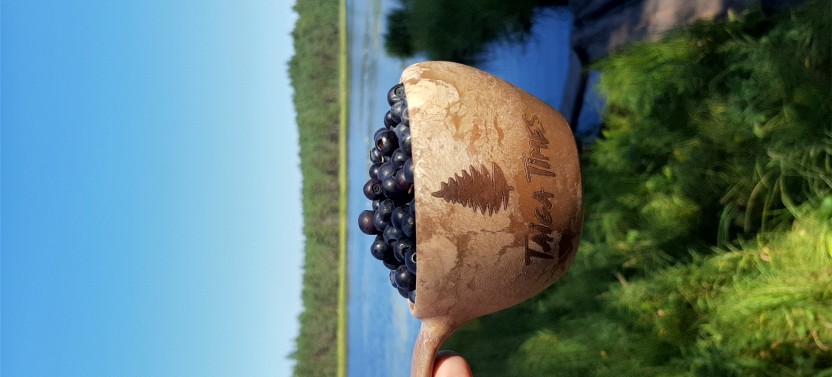 Berry Picking in a National Park