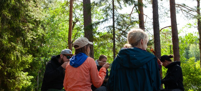 Mushroom Hunting Tour in a National Park