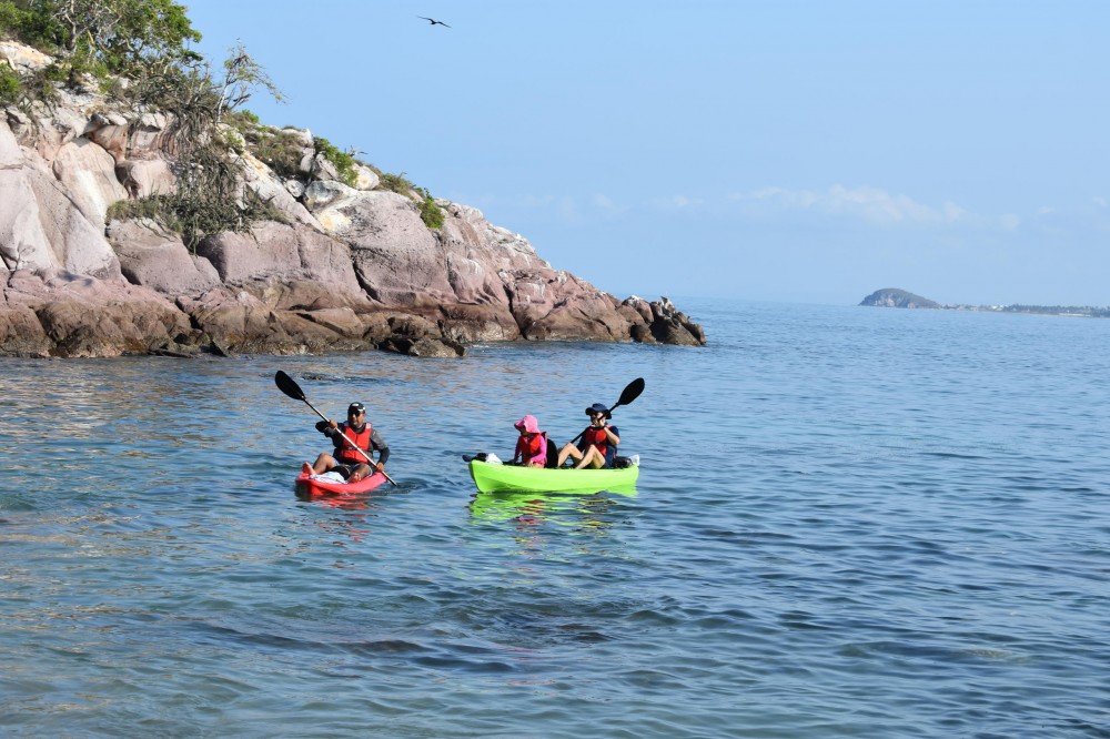 Birds Island Kayaking, Bird Watching & Snorkeling Tour Mazatlan