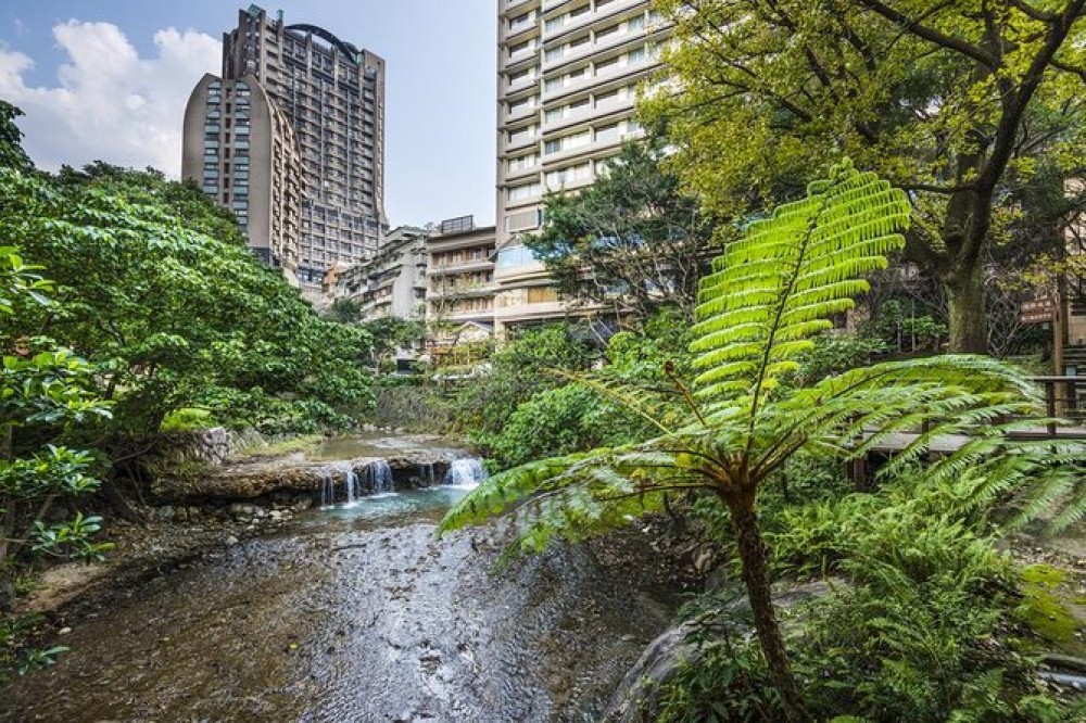 Beitou Hot Springs and National Palace Museum