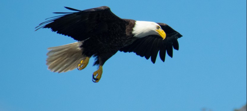 Simply Amazing Sitka National Park Small Group Tour