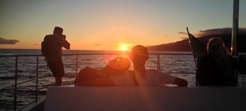 Sunset Catamaran Tour from Funchal by VMT Madeira