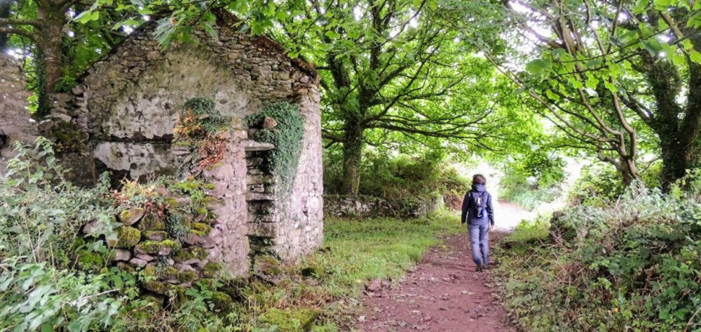 Dingle Way: 8-Day Self-Guided Walking Tour