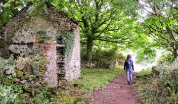 A picture of Dingle Way: 8-Day Self-Guided Walking Tour