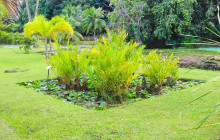 Tahiti Welcome Tours2