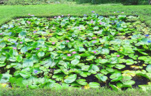 Tahiti Welcome Tours3