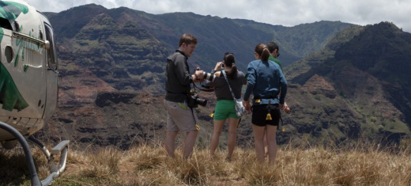 Kauai Jurassic Canyon Landing - Helicopter Landing Tour