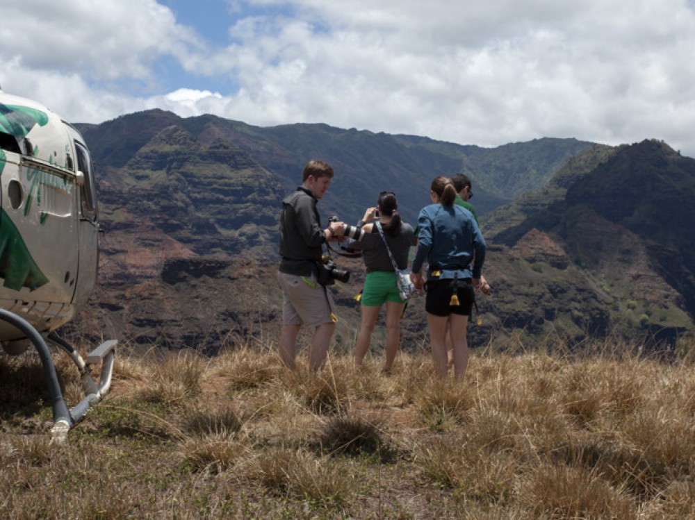 Kauai Canyon Landing Safari - Helicopter Landing Tour