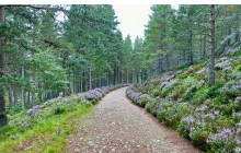 Rabbie's - Single Day - GBP4