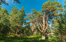 Rabbie's - Single Day - GBP3