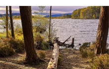 Rabbie's - Single Day - GBP4