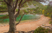 Rabbie's - Single Day - GBP2