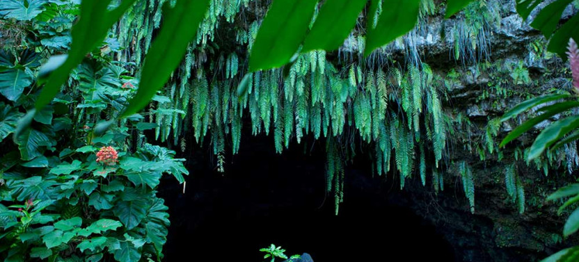 Tahiti Half Day Private Circle Island Tour