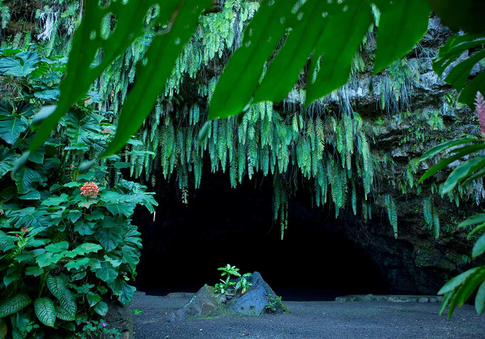 Tahiti Half Day Private Circle Island Tour