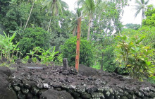 Tahiti Welcome Tours2