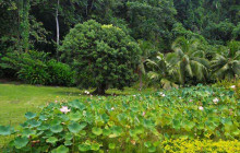 Tahiti Welcome Tours5