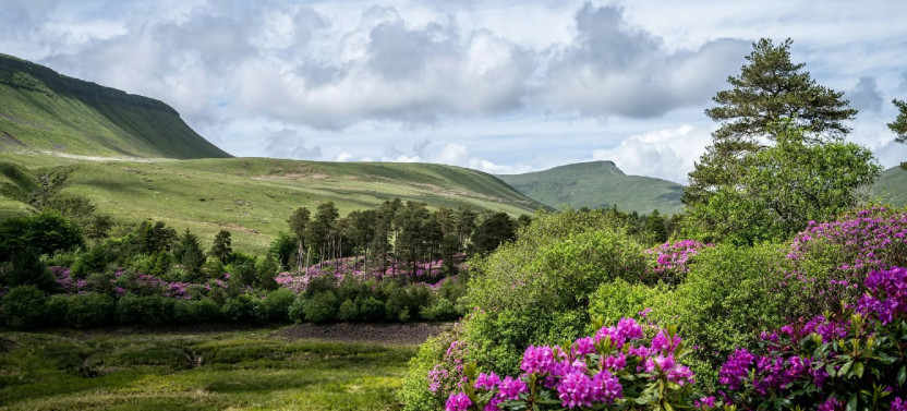 Legendary Castles & Mountains of Wales