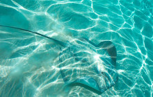 Tahiti Welcome Tours6