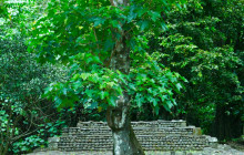 Tahiti Welcome Tours10