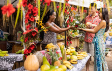 Tahiti Welcome Tours7