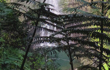 Tahiti Welcome Tours19