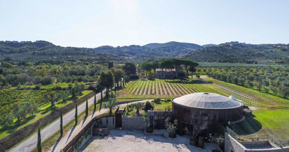 Beach and Hills: Bolgheri Wine Tour with Spectacular Tasting