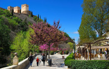 Granada Incoming Card SL3