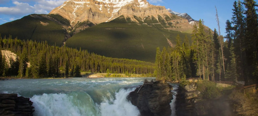 Jasper to Lake Louise: One Way Sightseeing Tour