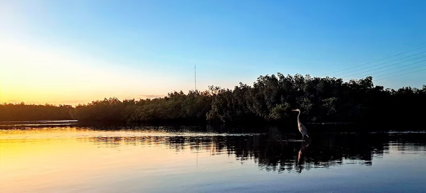Sunset Wildlife Kayak Small Group Tour 