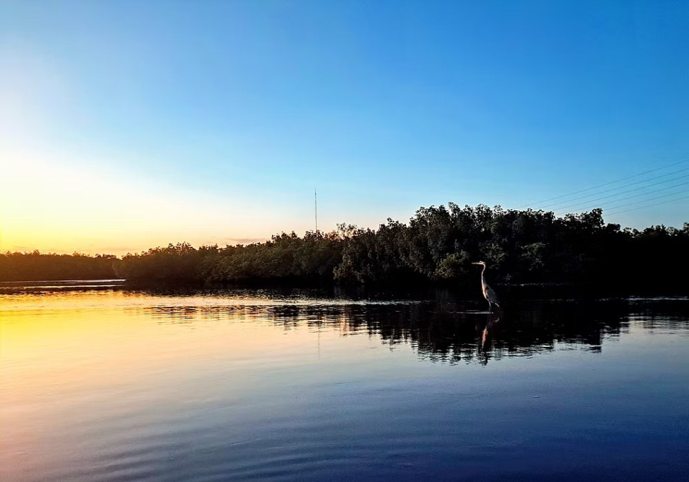 River Wild Kayaking