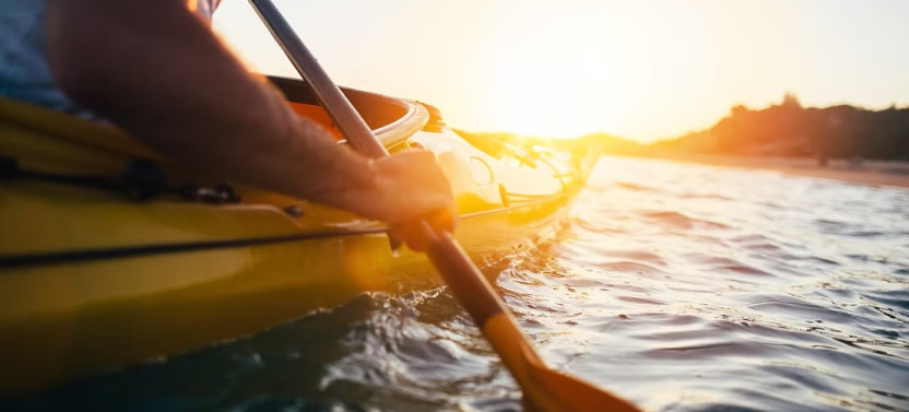 Sunset Wildlife Kayak Small Group Tour 