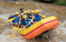 Bali Ari Tour & Driver1