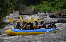 Bali Ari Tour & Driver7