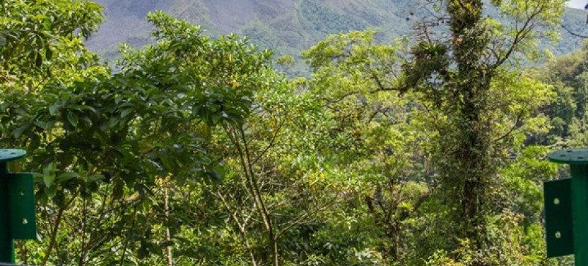Rainforest Falls & Sky Zipline