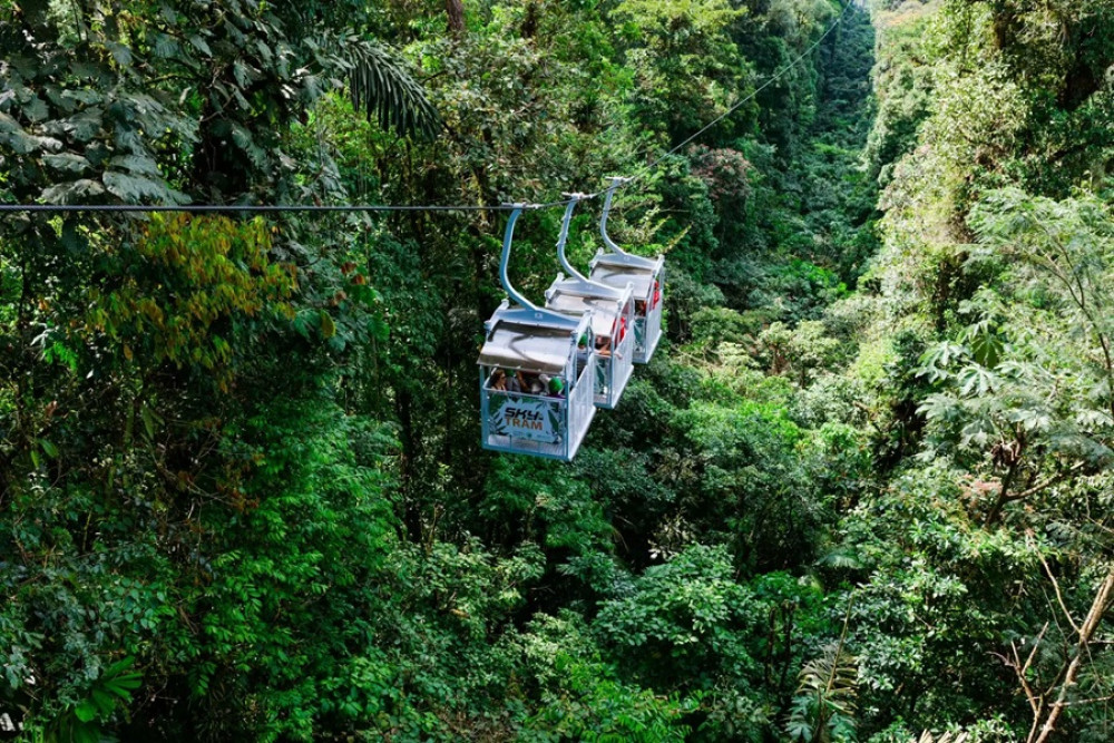 Rainforest Falls & Sky Zipline