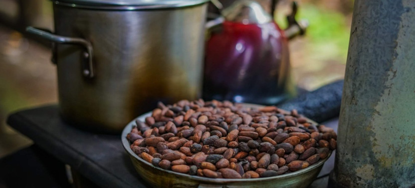 Rainforest Falls + Chocolate and Coffee Tour