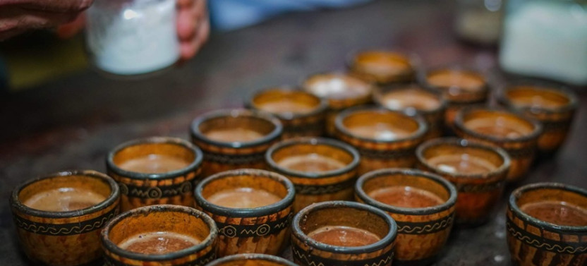 Rainforest Falls + Chocolate and Coffee Tour