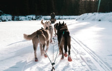 Discover Canada Tours3