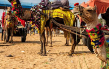 Taj Voyages Tour India3