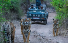 Taj Voyages Tour India4