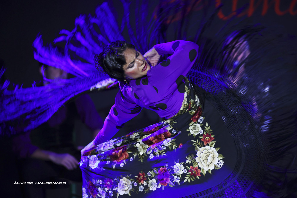 Mallorca: Flamenco Show at Tablao Flamenco Alma with Paella