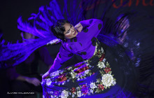 Tablao Flamenco Alma3