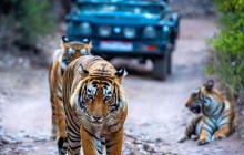 Taj Voyages Tour India1