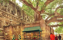 Taj Voyages Tour India12