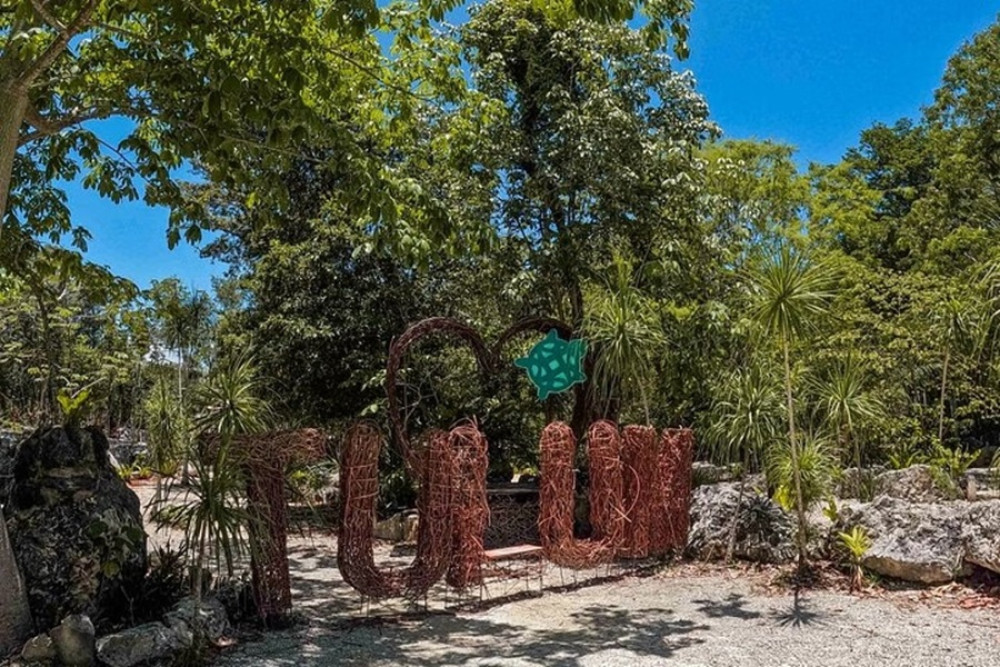 Cenotes Casa Tortuga: 5 Cenotes Day Pass