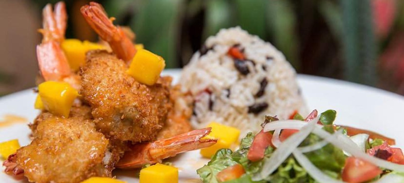 Rainforest Falls & Costa Rica Cooking Class