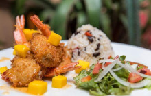 Pure Trek Canyoning2