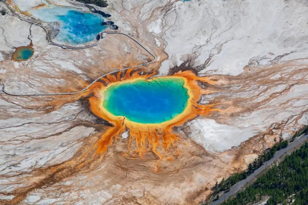 Full-Day Private Yellowstone Highlights Safari