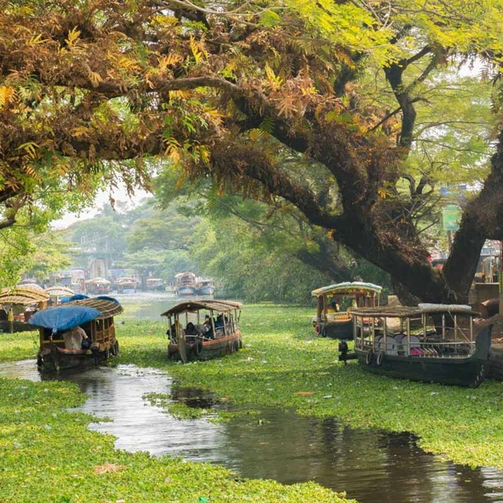 4-Day Kerala Honeymoon Tour with Munnar Hills and Alleppey Backwaters